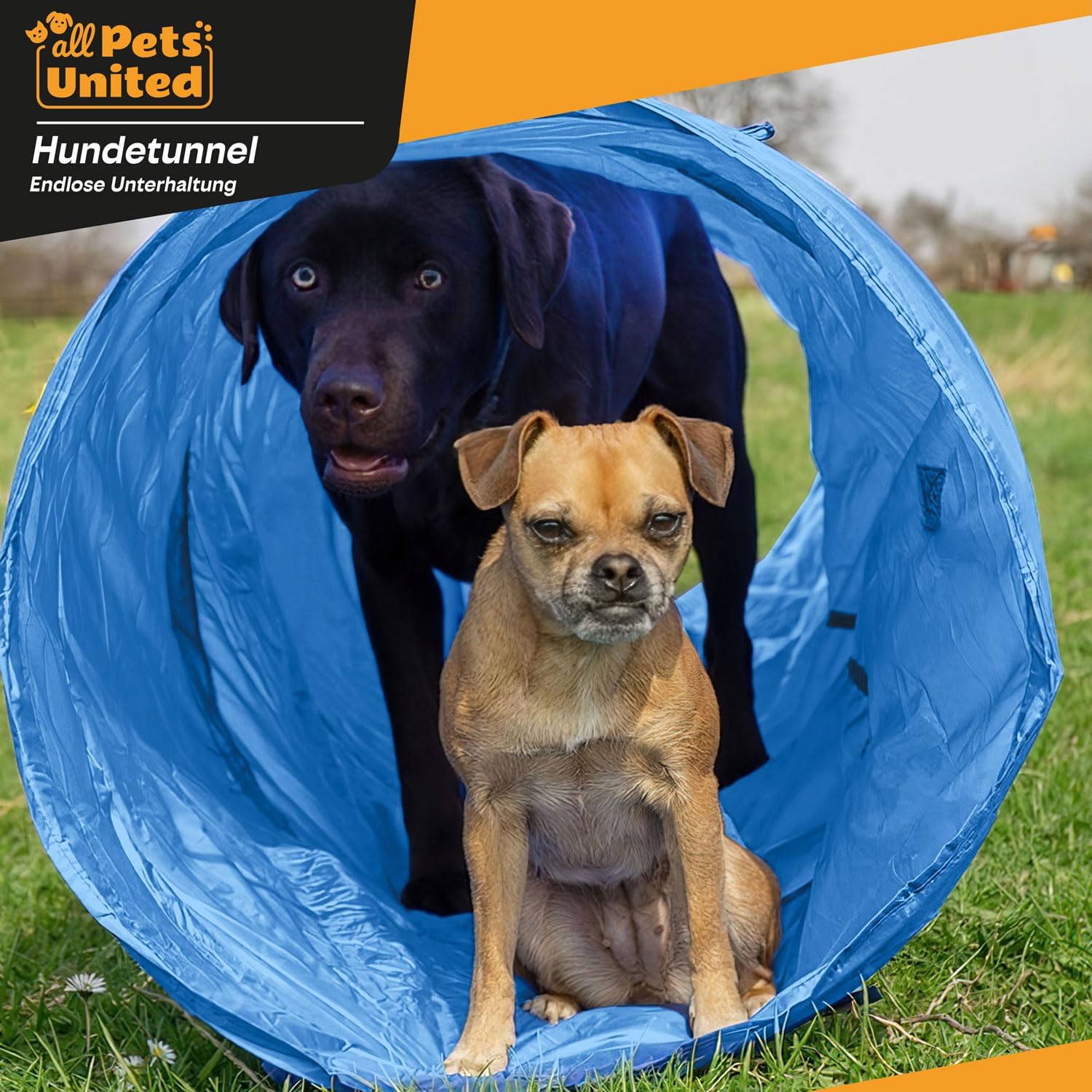 Detalle de GOODS+GADGETS Tunnel d’agilité pour chien (200 cm) avec patères et sac de transport