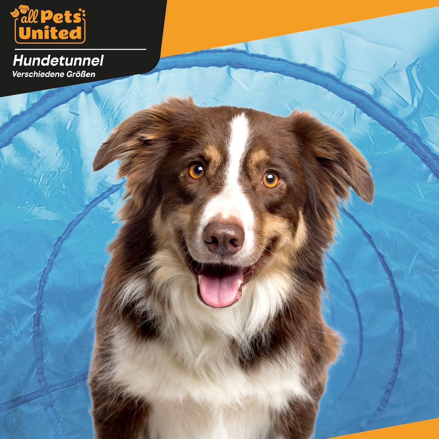 Detalle de GOODS+GADGETS Tunnel d’agilité pour chien (200 cm) avec patères et sac de transport