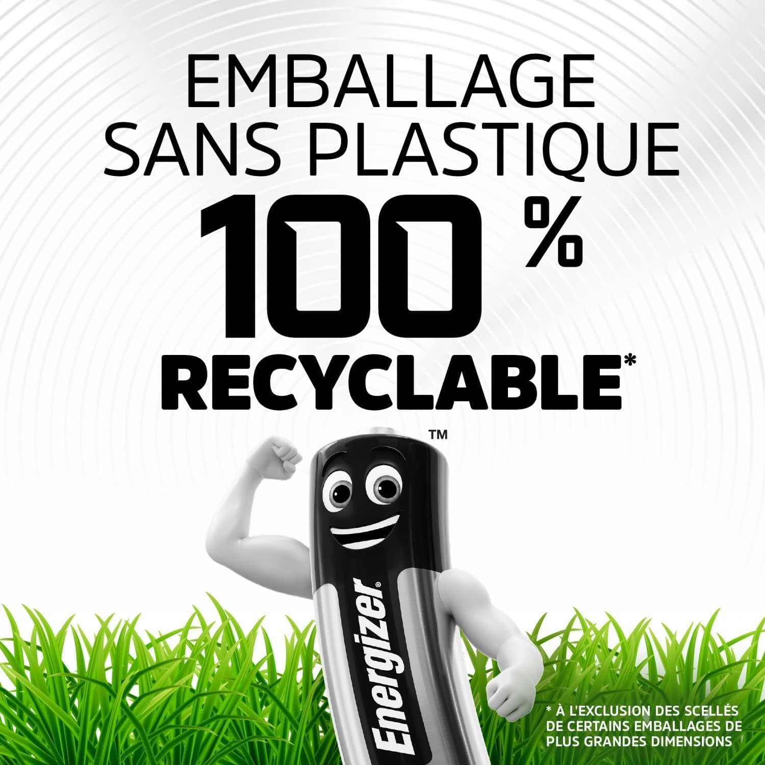 Detalle de Energizer Alkaline Power AA (Lot de 24) – Piles alcalines 1,5V, longue durée et emballage recyclable