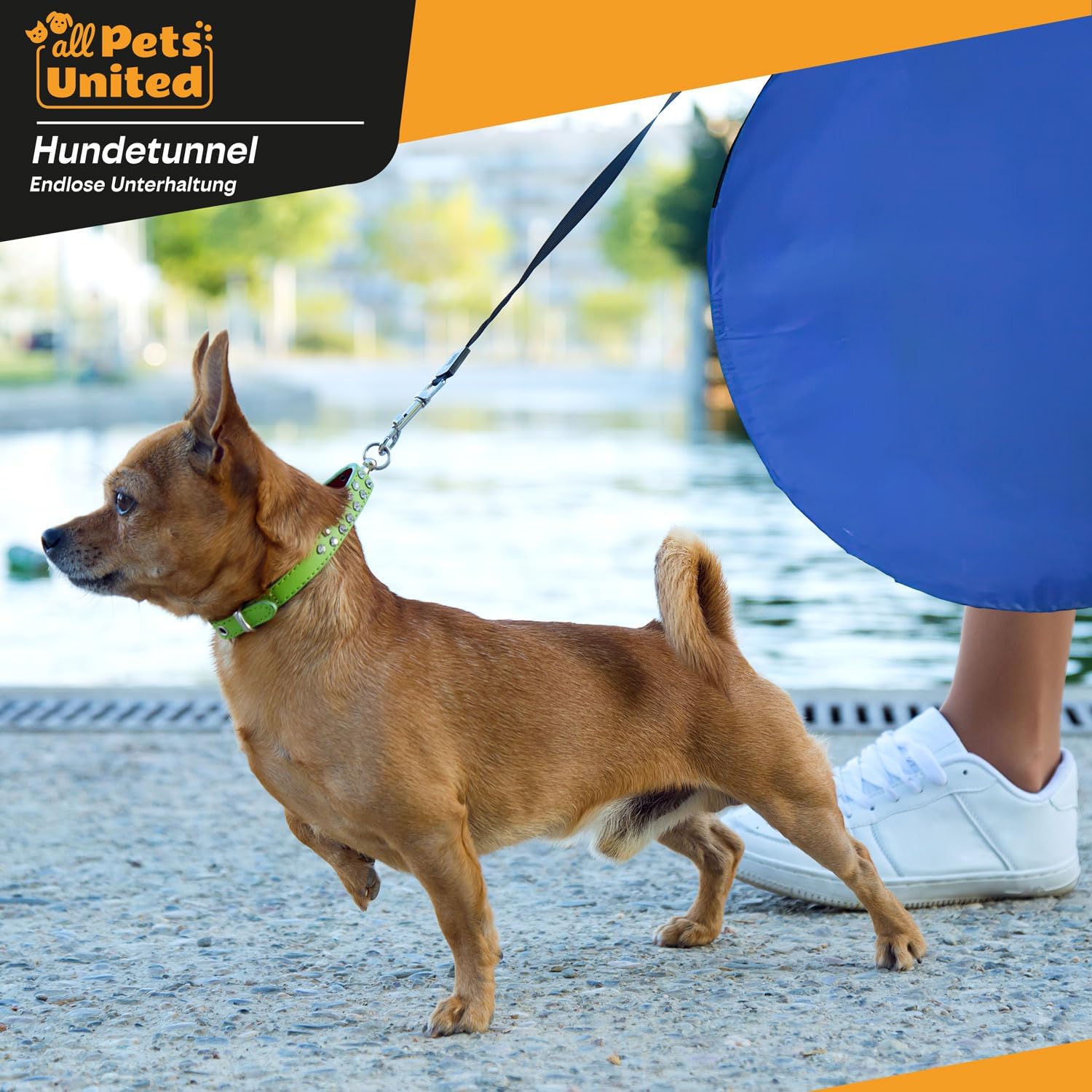 Detalle de GOODS+GADGETS Tunnel d’agilité pour chien (200 cm) avec patères et sac de transport
