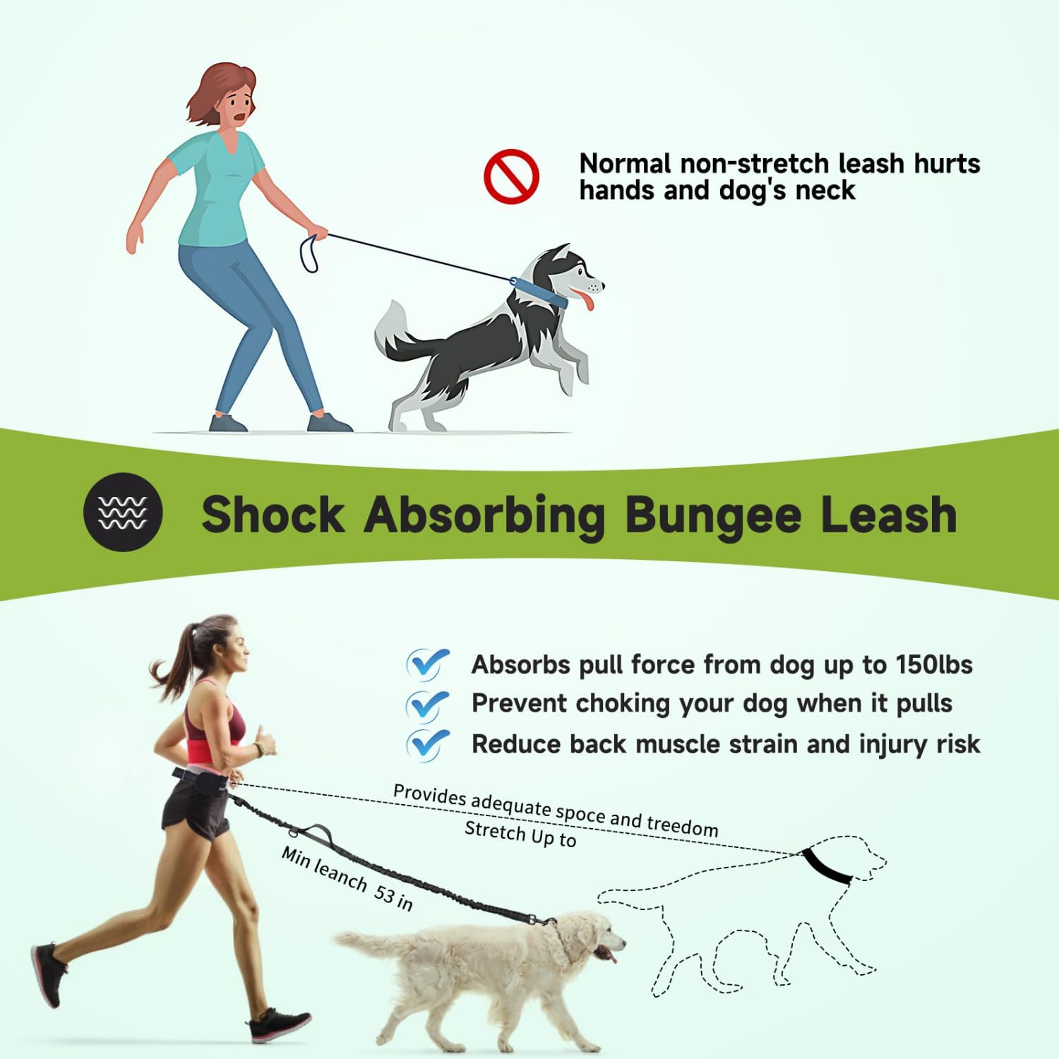 Detalle de Nobleza Laisse Mains Libres pour Chien – Ceinture de Formation et Laisse Multifonction, avec Absorption de Choc et Bande Réfléchissante