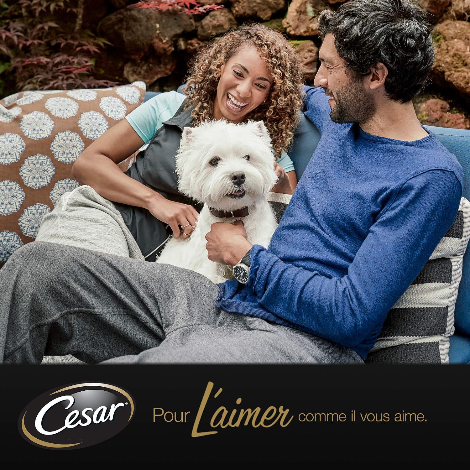 Thumbnail 6 de Cesar Repas pour Chien Senior – 24 Barquettes (Lot de 6 packs 4x150 g) | Pâtée en Gelée à la Dinde/Bœuf/Poulet/Agneau