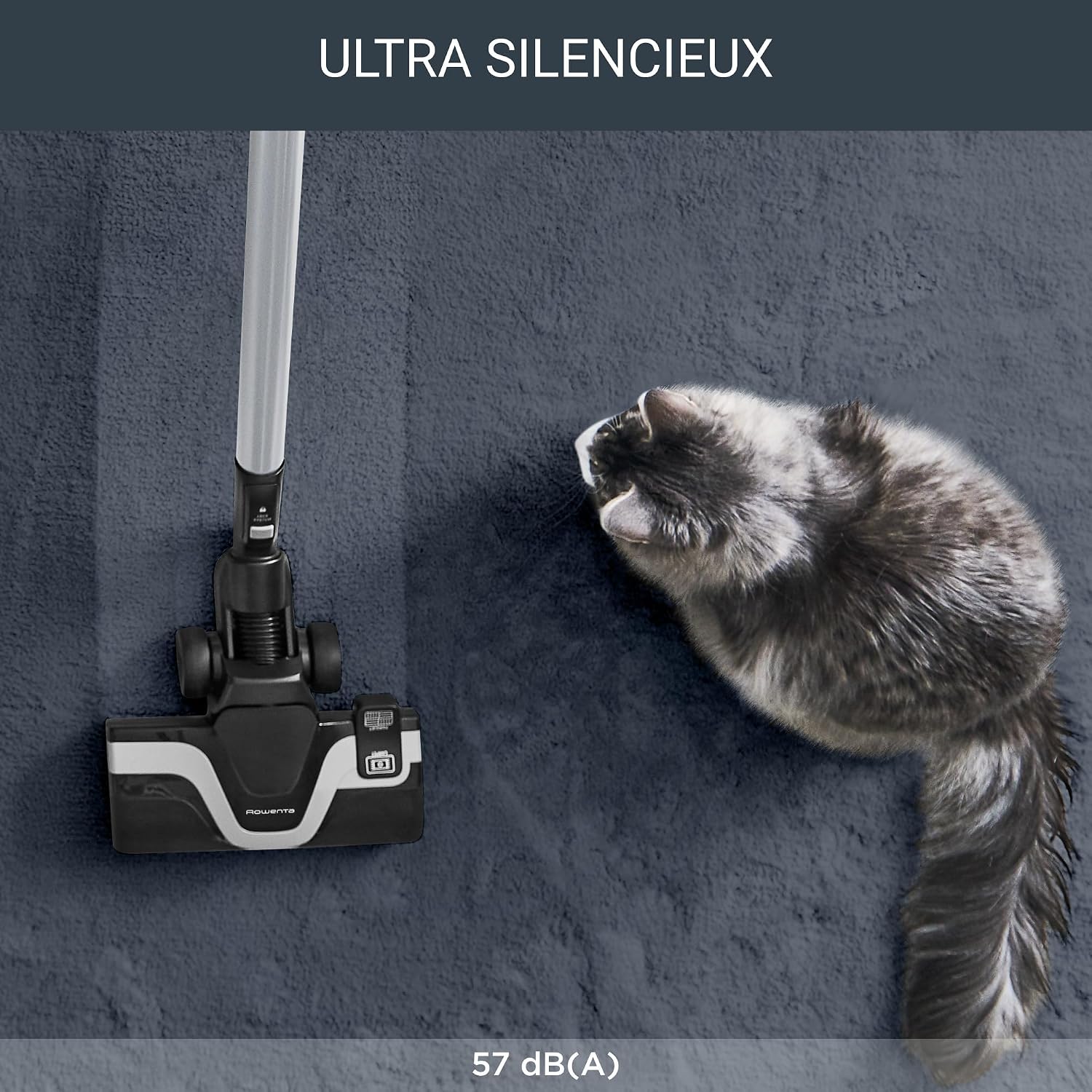Detalle de Rowenta Silence Force Effitech RO7474EA avec sac – aspirateur silencieux 57 dB(A), 4,5 L (rouge Tanin)