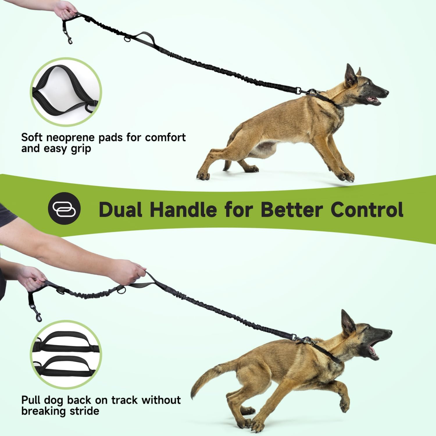 Detalle de Nobleza Laisse Mains Libres pour Chien – Ceinture de Formation et Laisse Multifonction, avec Absorption de Choc et Bande Réfléchissante