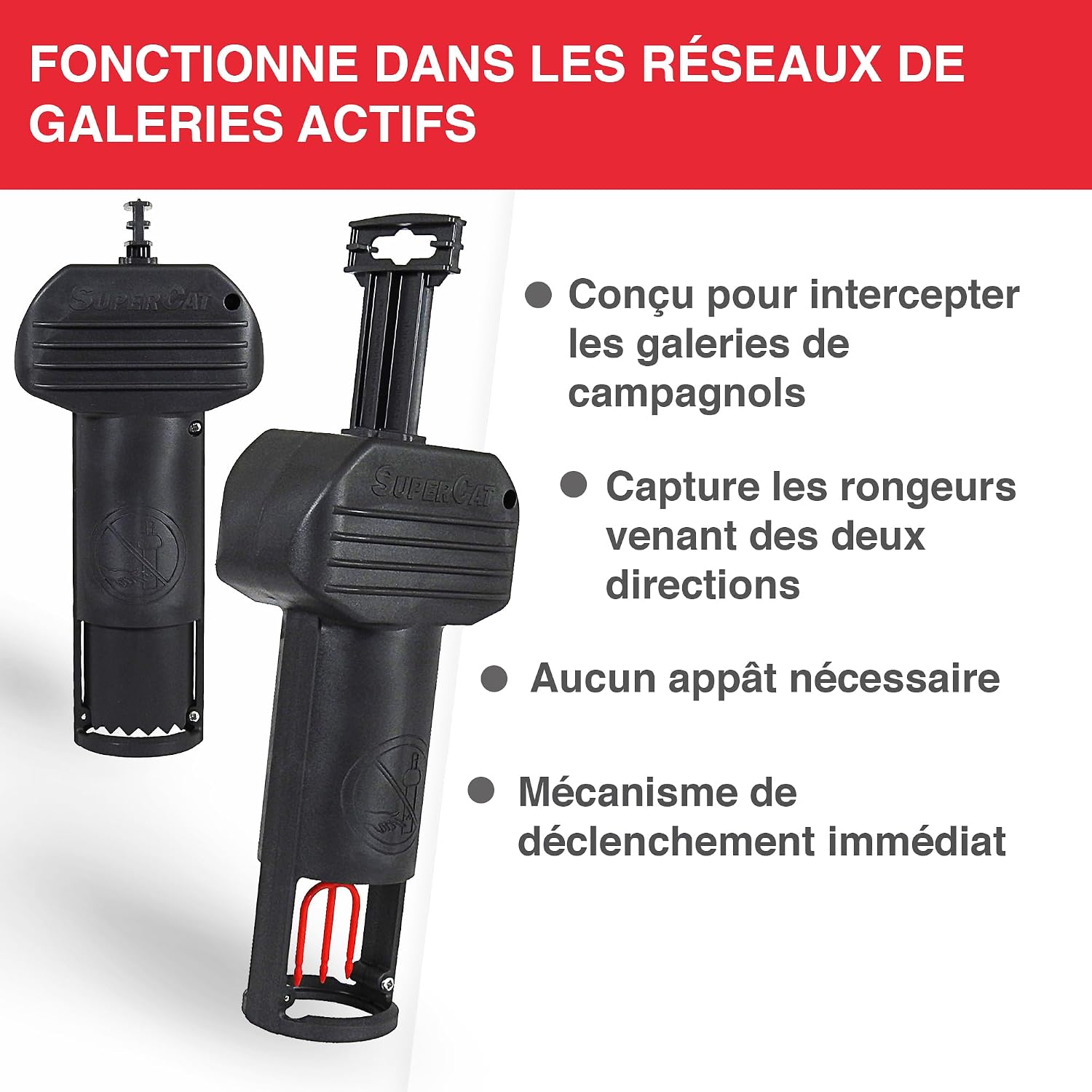 Detalle de SWISSINNO Piège à campagnols Pro SuperCat – Piège efficace pour rats des champs et campagnols (2 pièces)