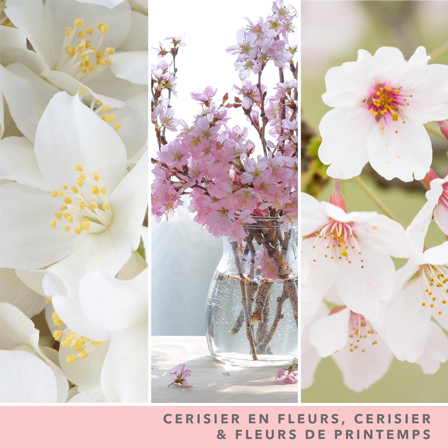 Detalle de Yankee Candle Fleur de cerisier 150 h 🕯