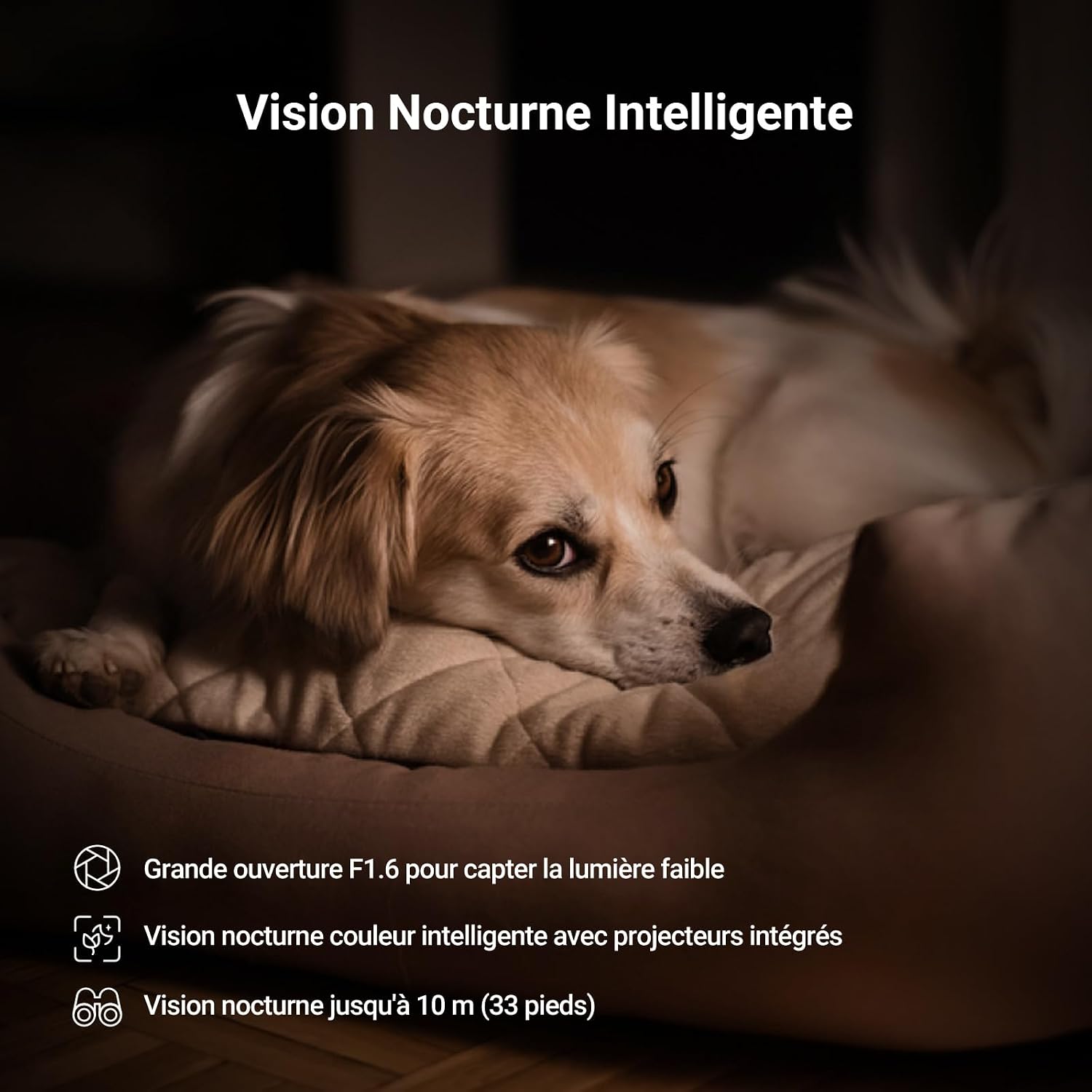 Thumbnail 6 de EZVIZ C6N G1 4K Caméra Wi‑Fi intérieure 360° (détection humaine/animaux, vision nocturne couleur, WDR)