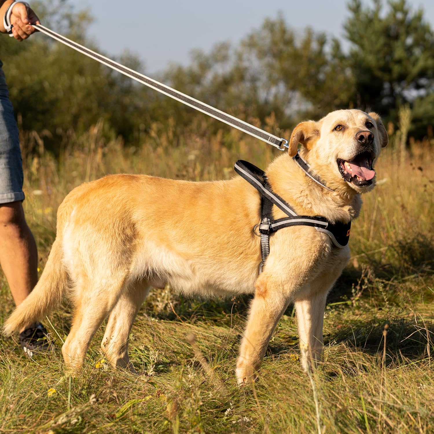 Detalle 2 de Ferplast ERGOCOMFORT Laisse 120 cm 🐕