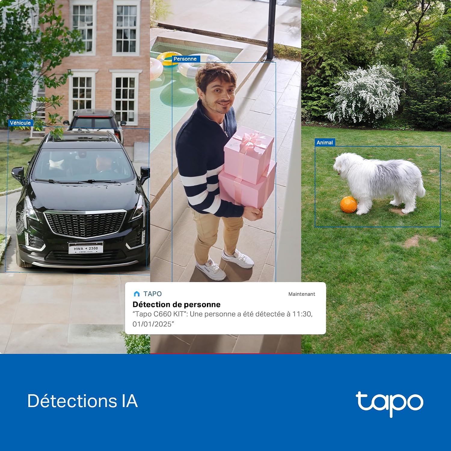 Thumbnail 4 de Tapo C660 caméra de surveillance 10 000 mAh