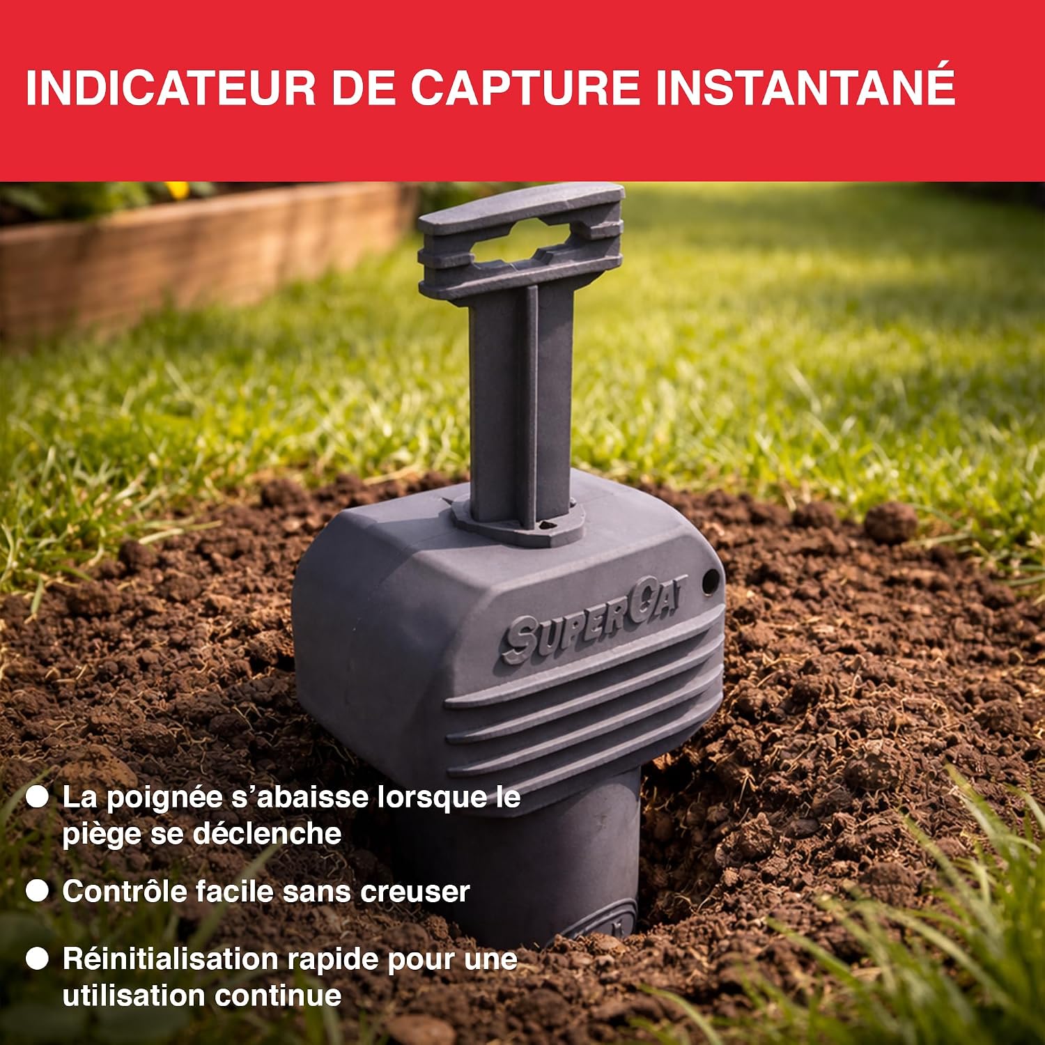 Detalle de SWISSINNO Piège à campagnols Pro SuperCat – Piège efficace pour rats des champs et campagnols (2 pièces)