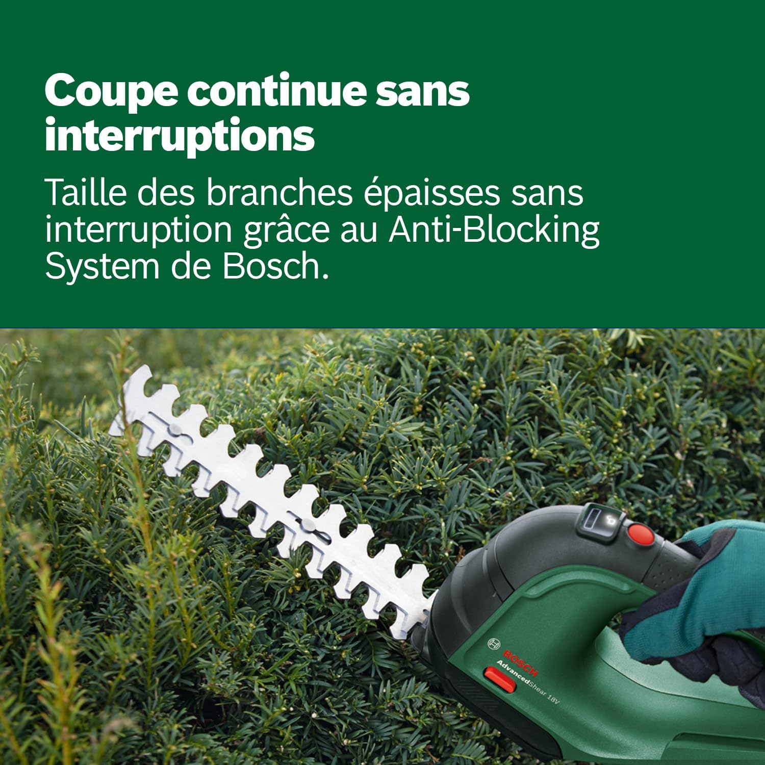 Detalle de Bosch AdvancedShear 18V-10 (sans fil) : cisaille à gazon et taille-haies pour jusqu’à 85 m² par charge